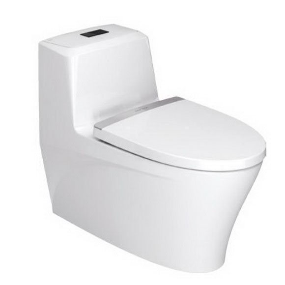 思睿 4.8升节水型连体座厕（豪华版）